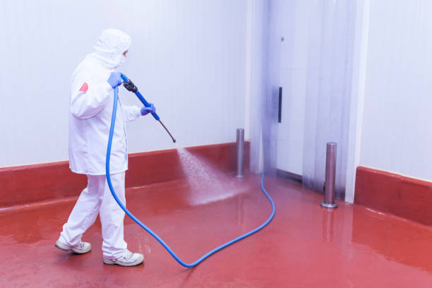 Best Pre-Holiday Cleaning  in Melissa, TX